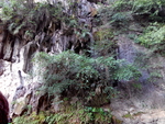 旅游区