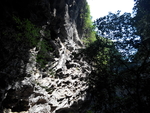 旅游区
