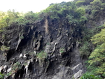 旅游区