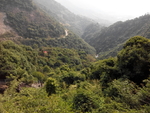 旅游区