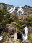 旅游区