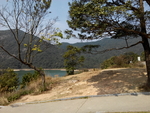 旅游区