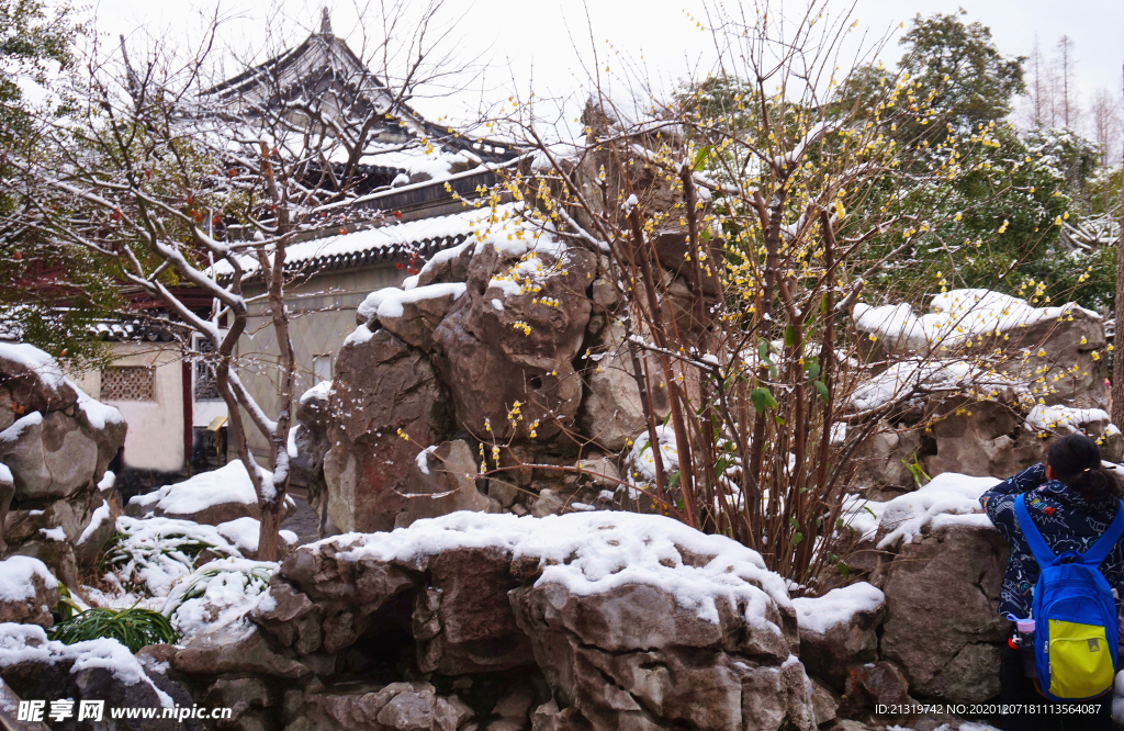 冬日雪景