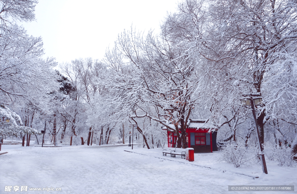 冬日雪景