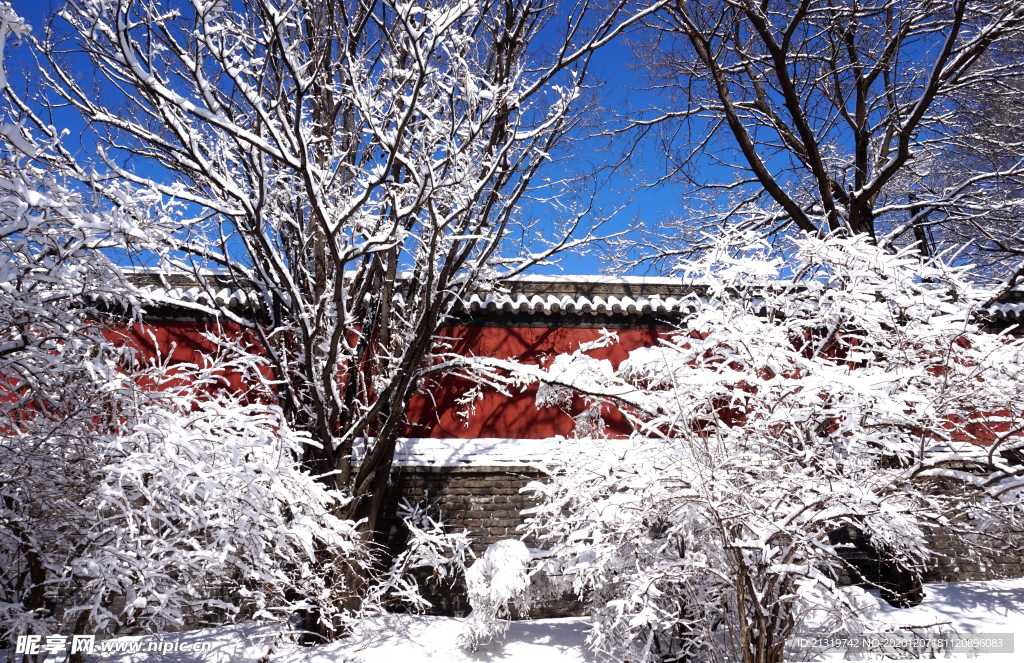冬日雪景