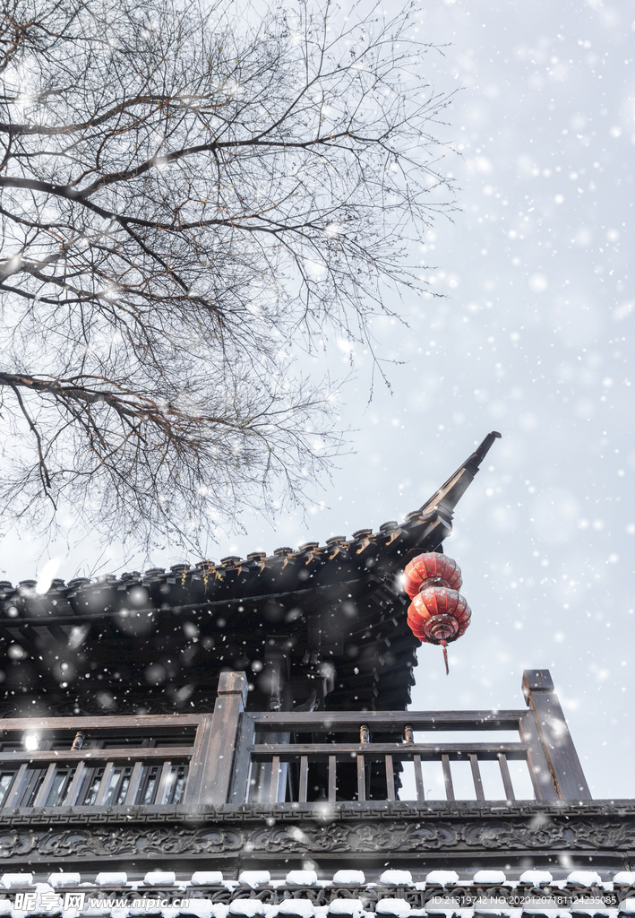 冬日雪景