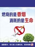 请勿吸烟 禁止吸烟海报