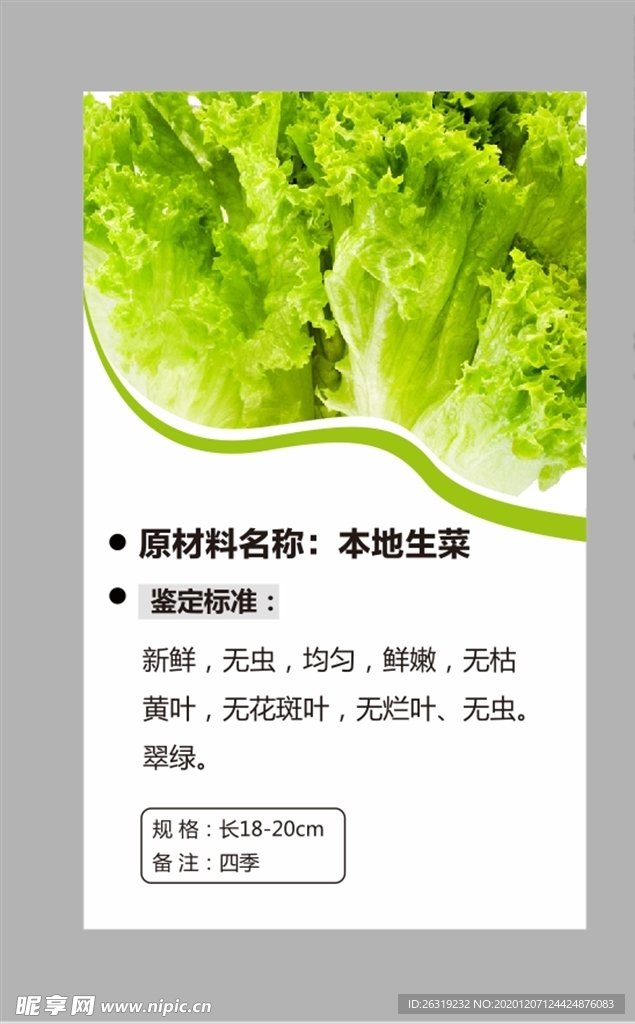 生菜