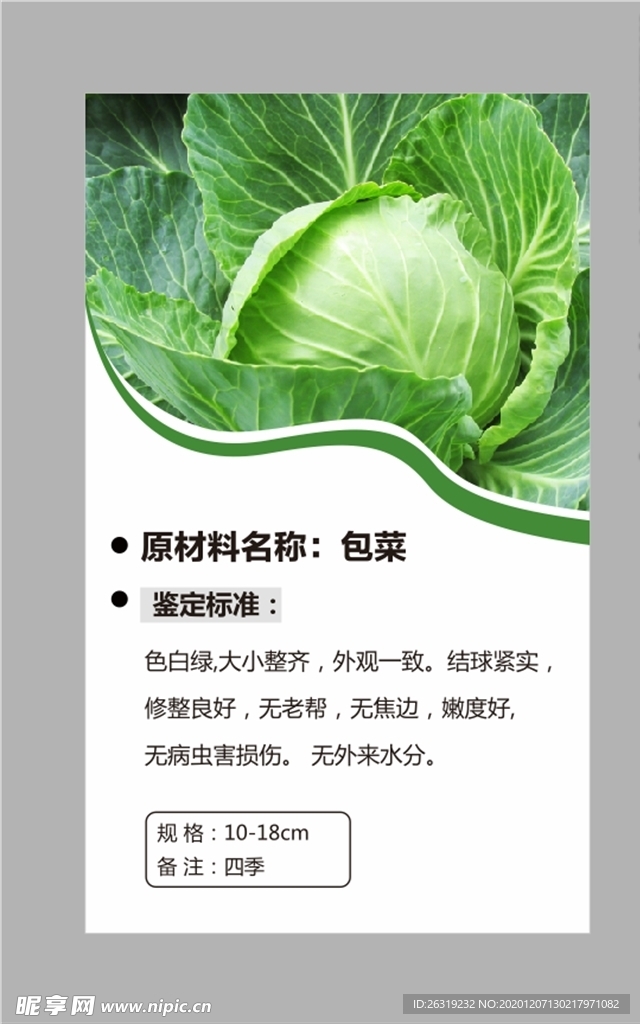 包菜