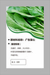 广东菜心