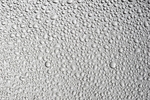 水珠水滴纹理