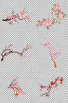 梅花