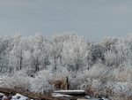 雪景