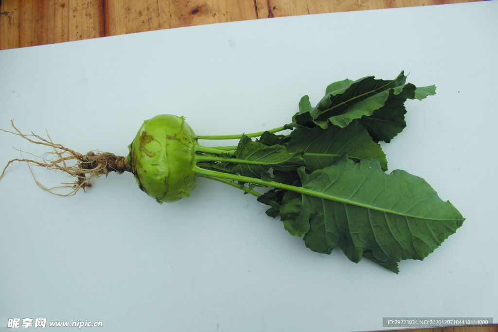 苤兰 绿色蔬菜
