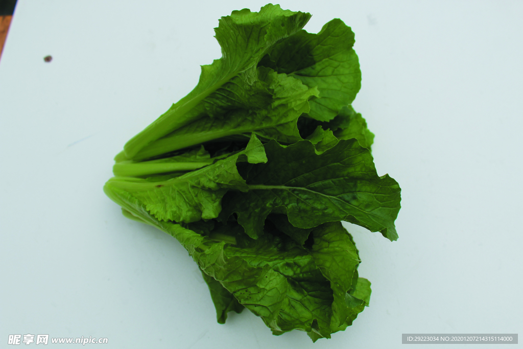 蔬菜 白菜