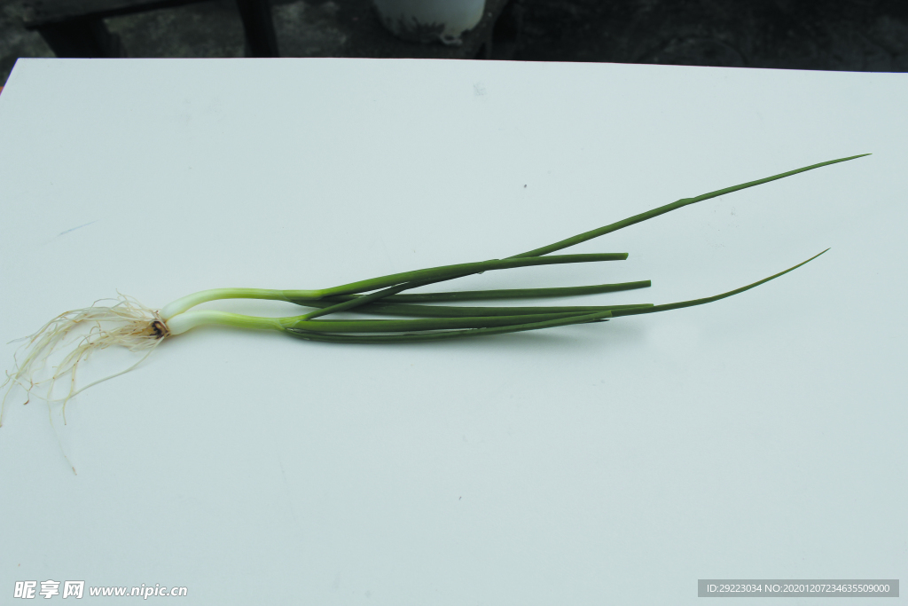蔬菜 香葱