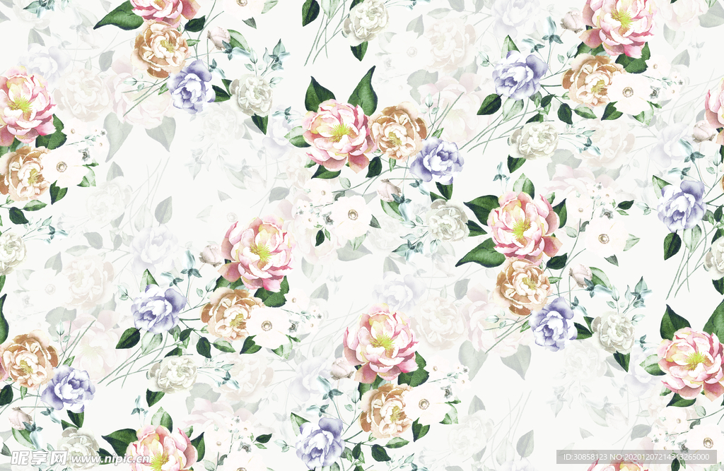 玫瑰花