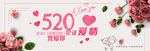 520表白