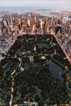 城市