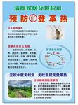 预防登革热