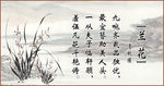 兰花