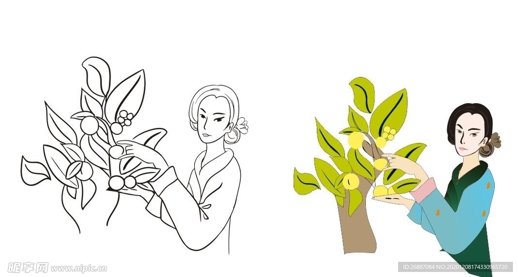 山茶花