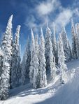 雪景图片