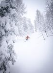 滑雪图片