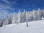滑雪图片