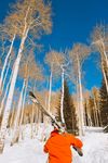 滑雪图片