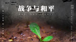 战争海报和平保卫