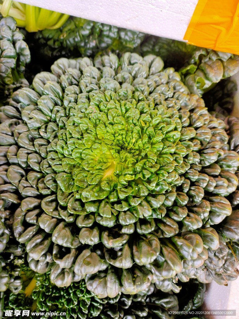 青菜