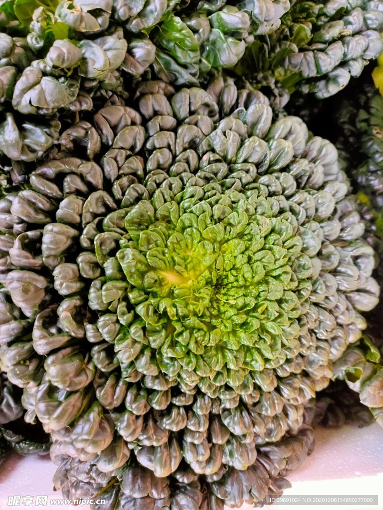 青菜