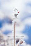 小雪