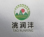 洮润沣