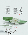 宁静致远  荷叶