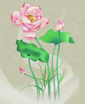 荷花图