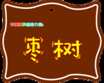 树牌