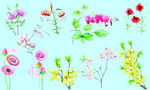 百花齐放