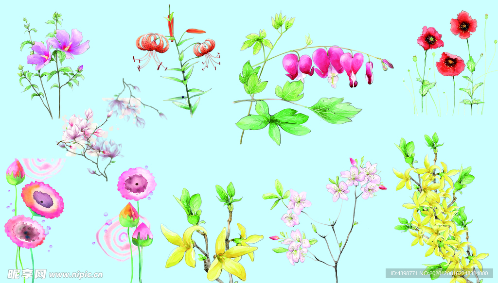 百花齐放