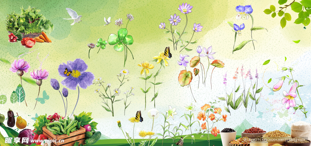 蔬菜 百花