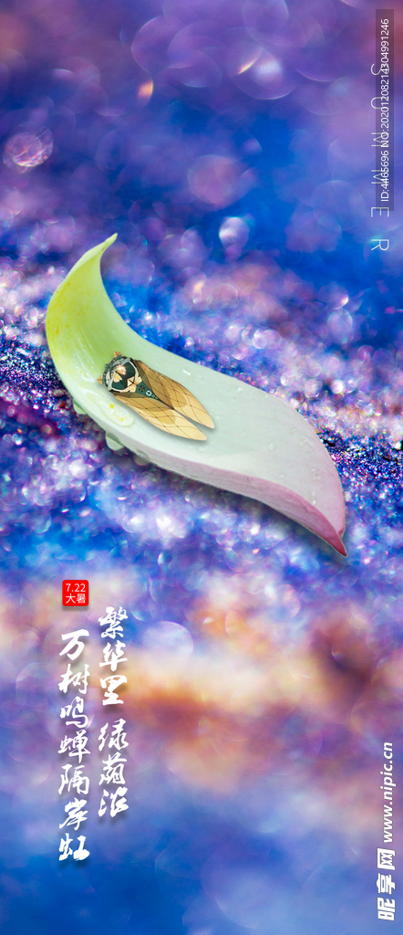 炫彩夏天