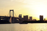 城市