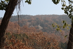 泰山