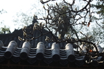 普照寺