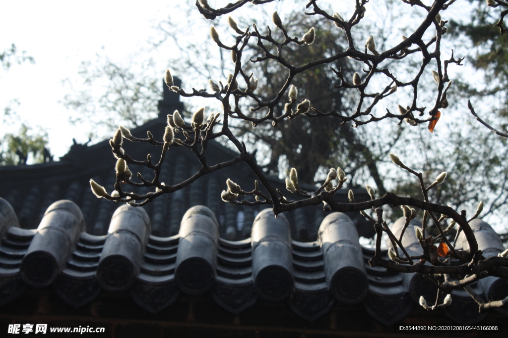 普照寺