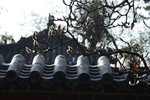 普照寺