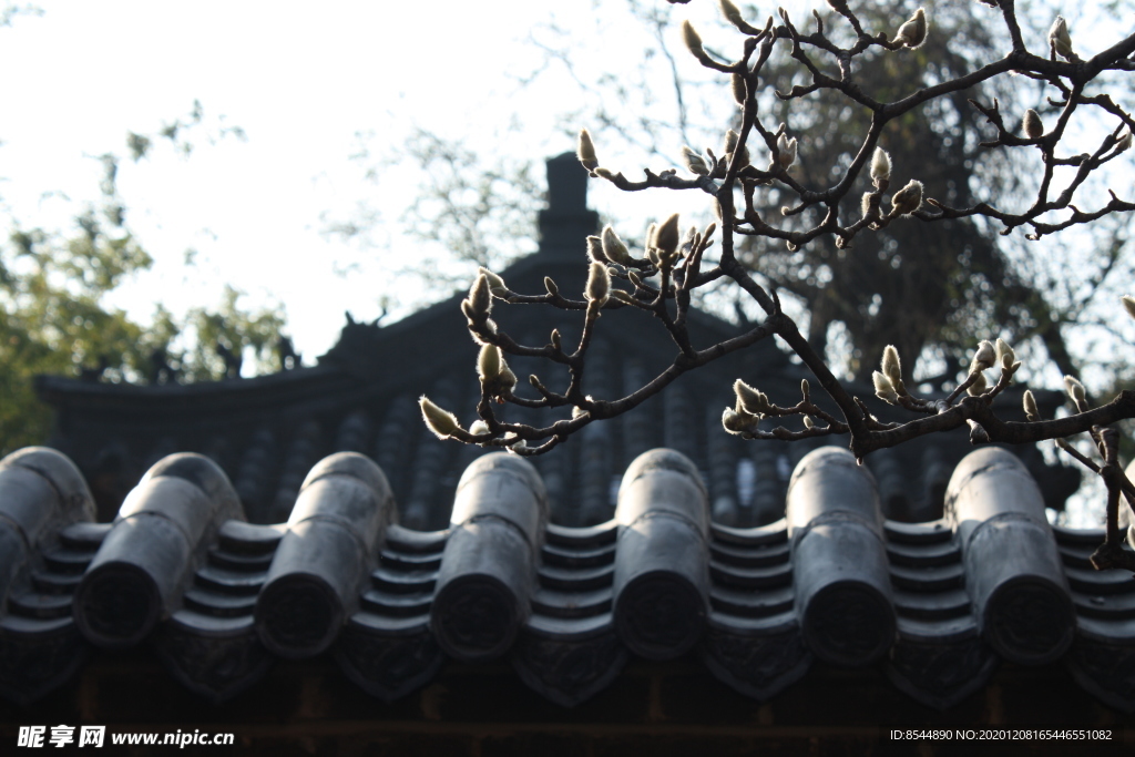 普照寺
