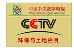 中国数字铜牌
