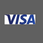 visa logo 最新